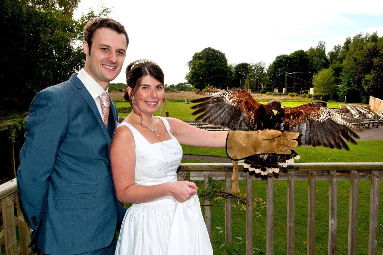 Hawk Conservancy Trust Wedding Venue Andover, Hampshire | hitched.co.uk