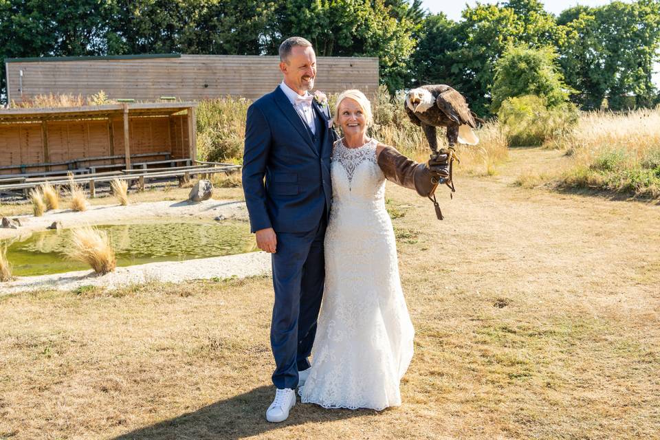 Excited Bald Eagle Handling