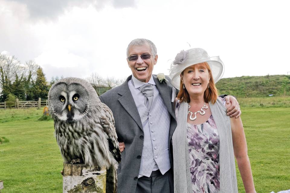 Great Grey Owl - Pose