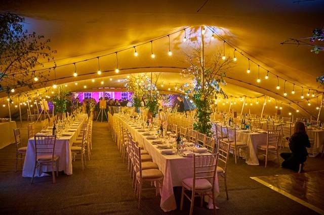 TENT PEG EVENTS Stretch Tents