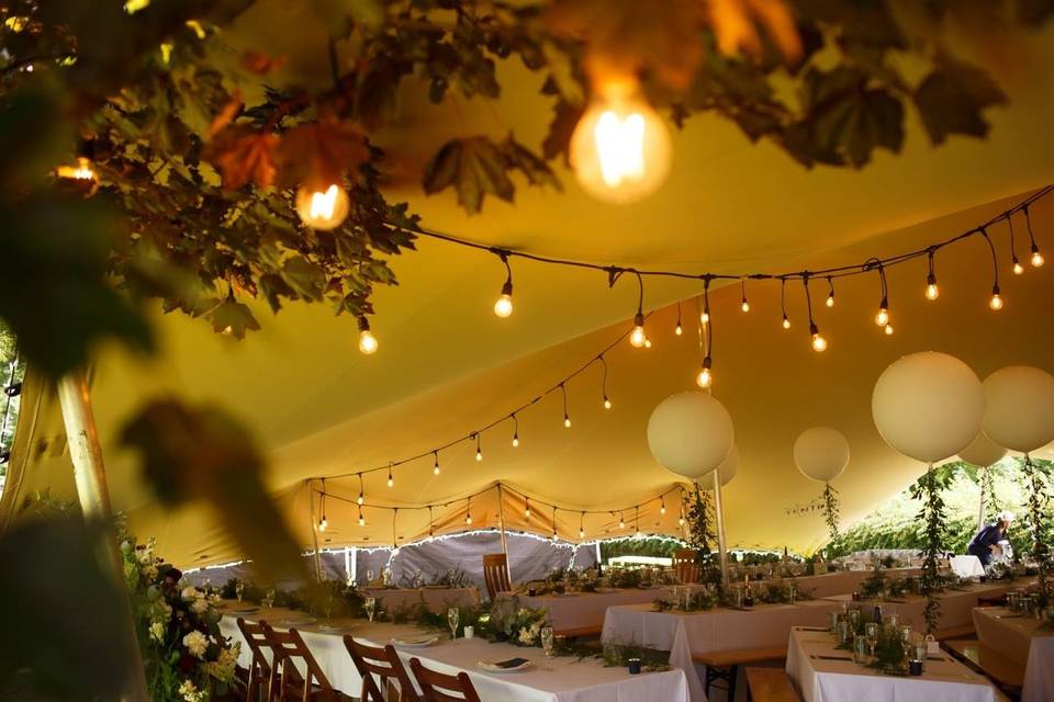 TENT PEG EVENTS Stretch Tents