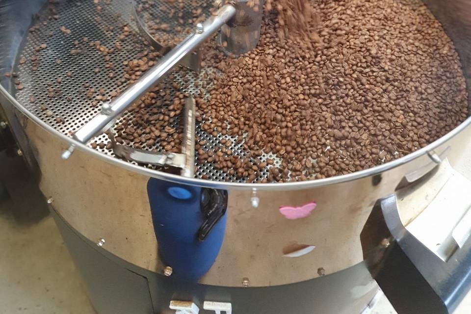 Freshly roasted beans