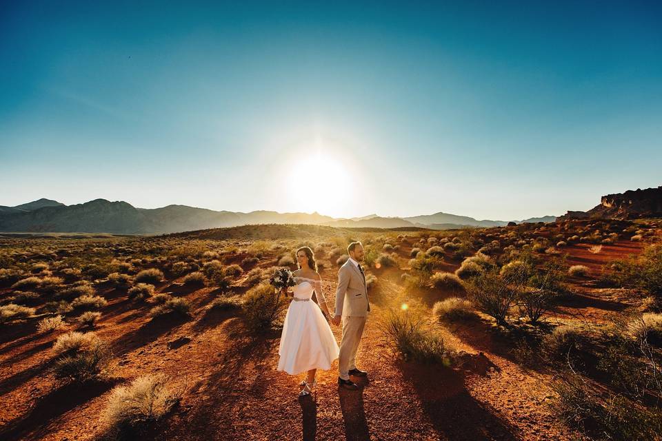 Holding hands - J S Coates Wedding Photography