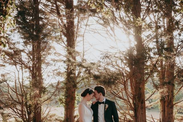 Damien Vickers Photography