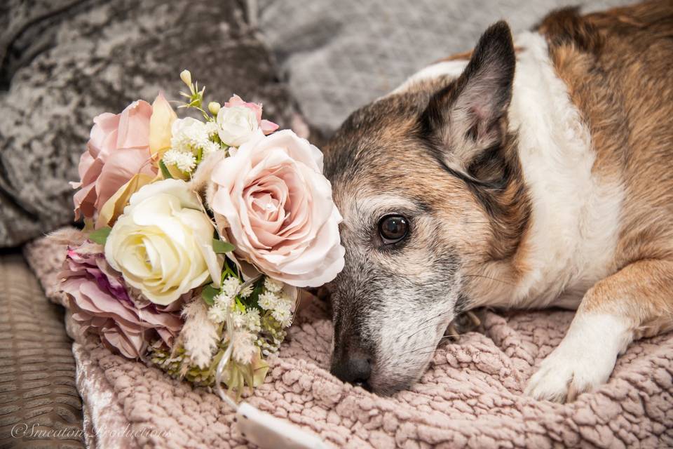 Mr & Mrs Christophers