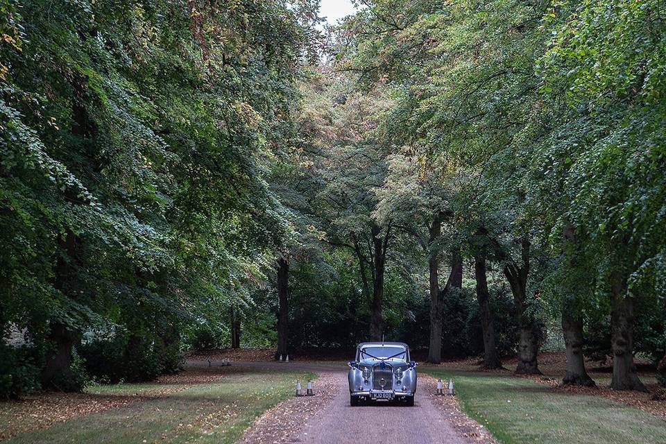 Sweeping tree-lined driveway
