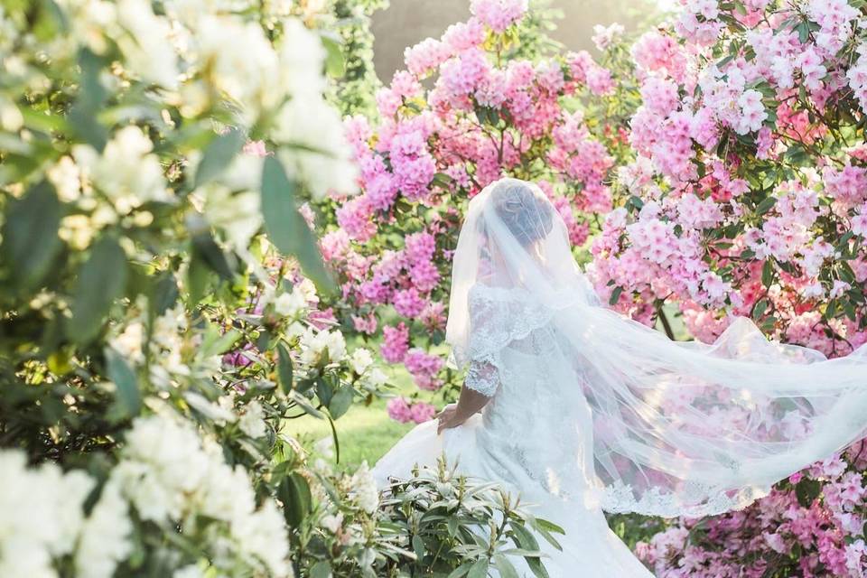 Hiding amongst the flowers