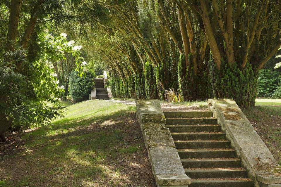 Meadow stone steps