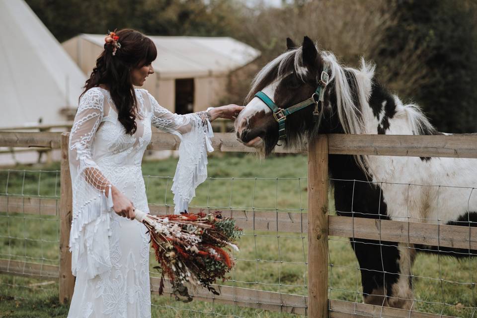 Local hours visiting a Bride