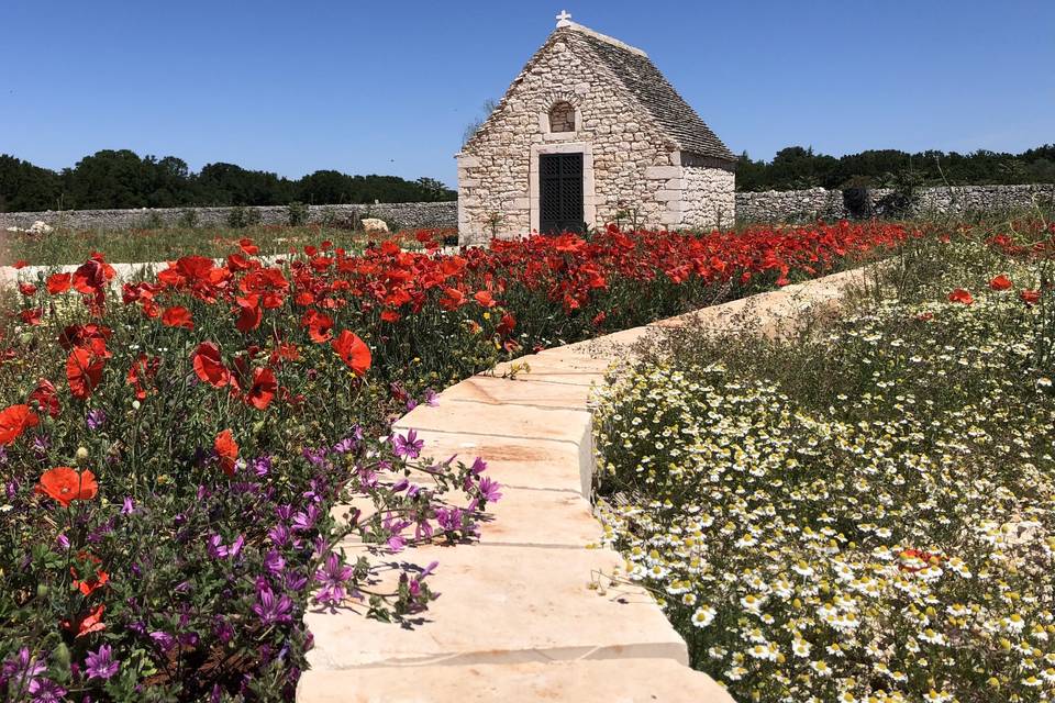 Masseria Nicola Casavola