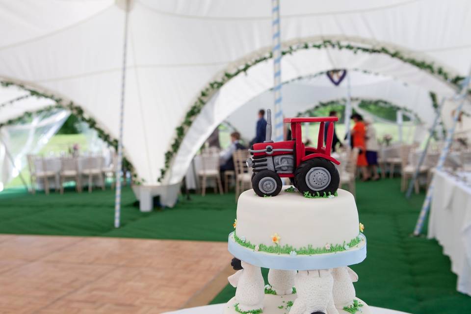 Farmer themed cake