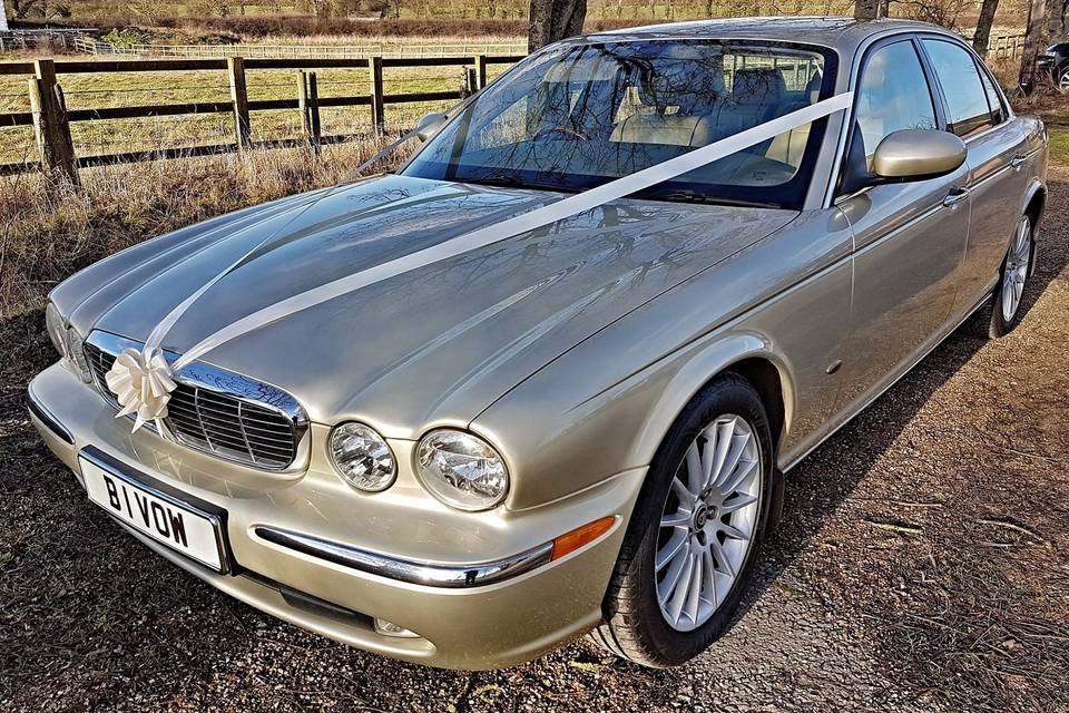 Jaguar Modern Classic