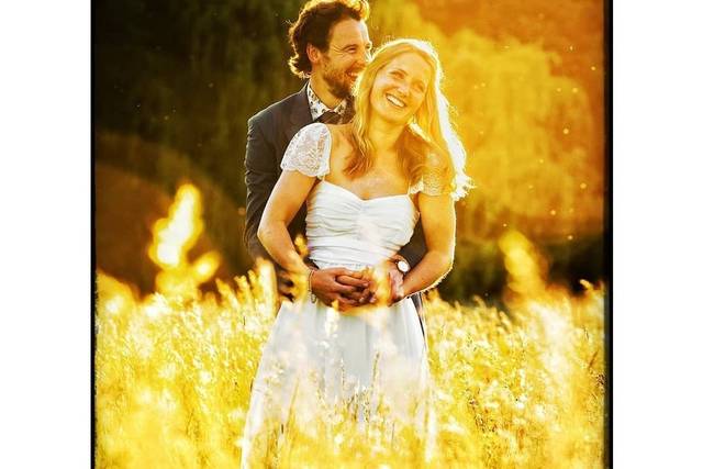 Fields of Gold