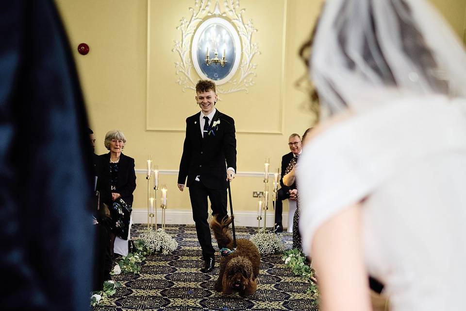 Dog bringing the rings in