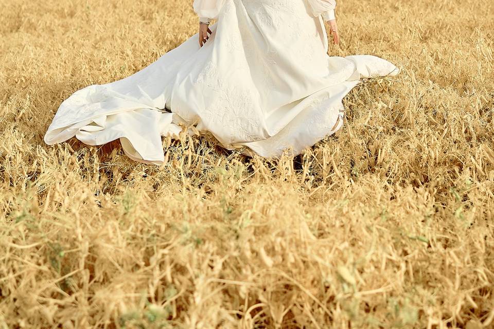 Field and dress