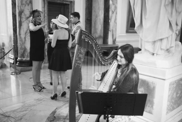 Cardiff Wedding Harpist