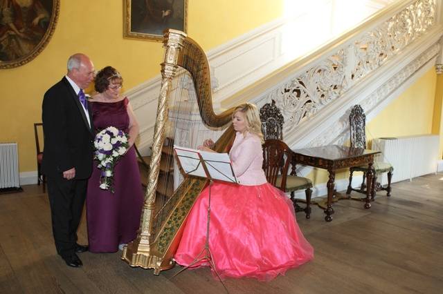 Wedding harpist