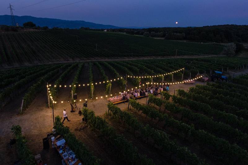 Dinner in the vineyard