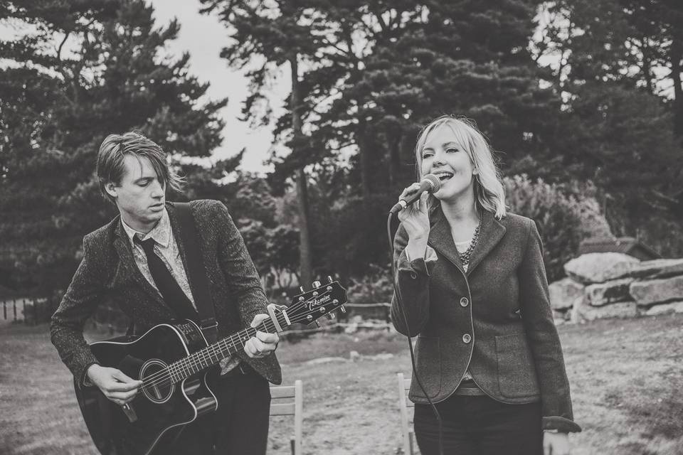 The Hornbeams - Acoustic duo