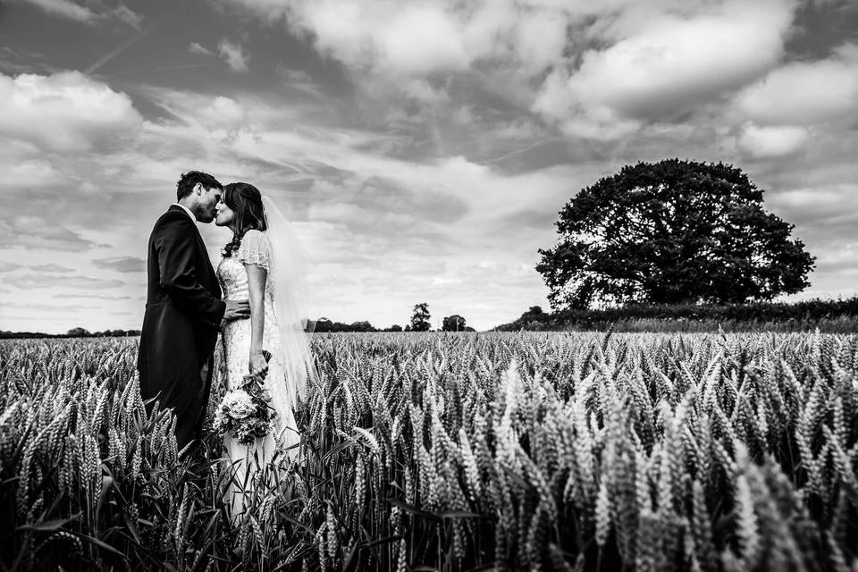 Wedding portrait in corn field