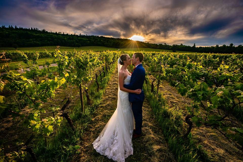 Denbies sunset portrait