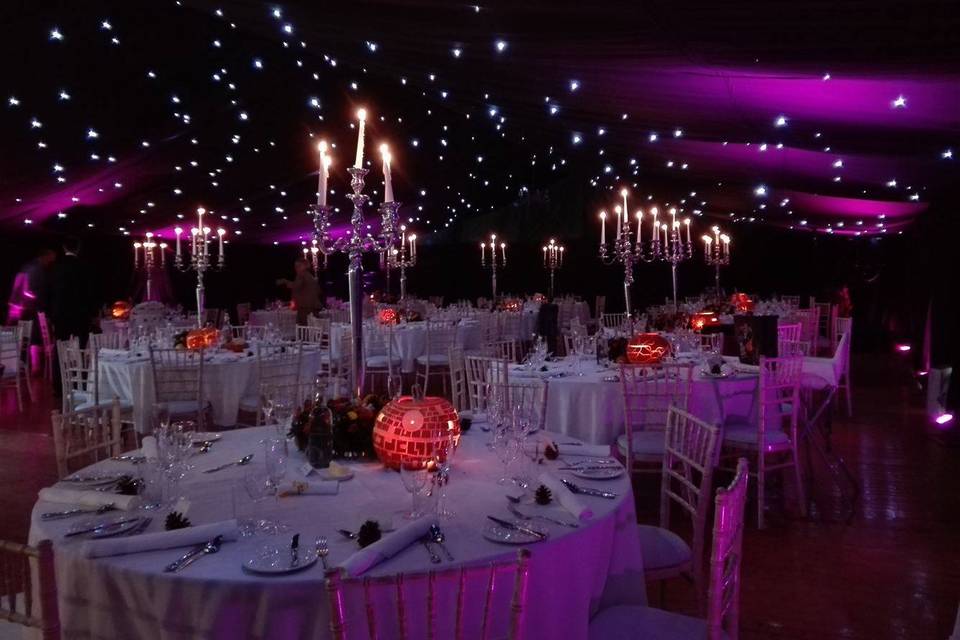 Dreamy reception evening