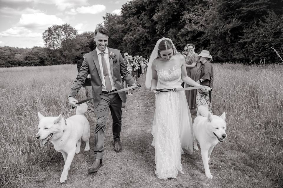 Bride & Groom with their dogs