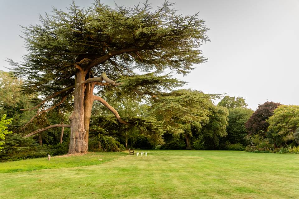 The Hall, Tendring