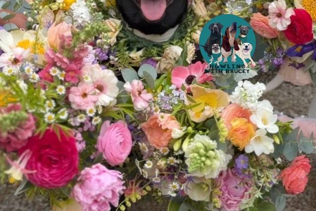 Wedding Chaperone May 26