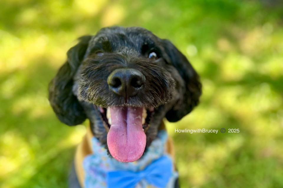 Handmade Bandana - July 25