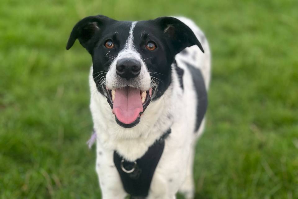 Wedding Sitting - September 25