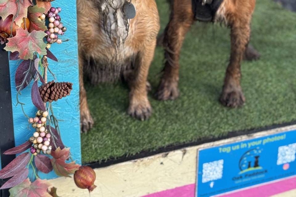 Wedding Sitting - December 25