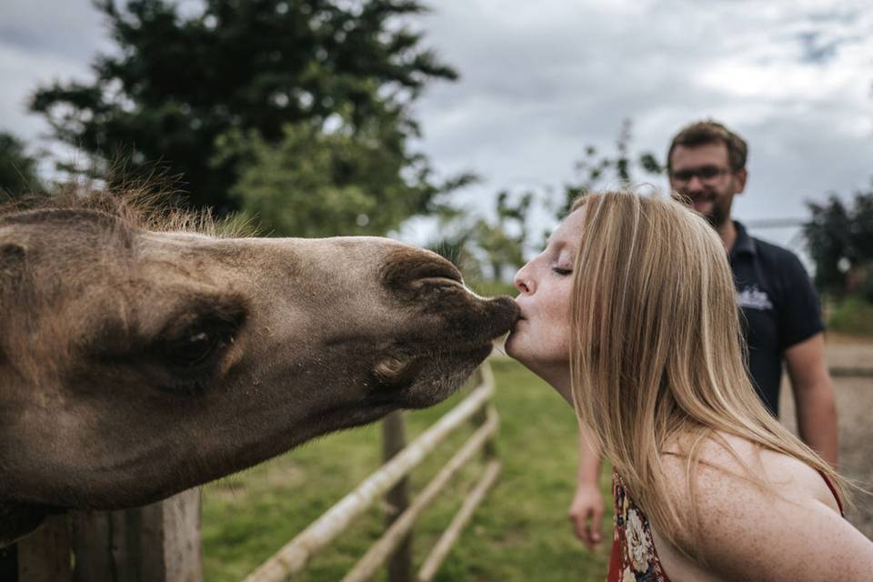 Jimmy's Farm & Wildlife Park