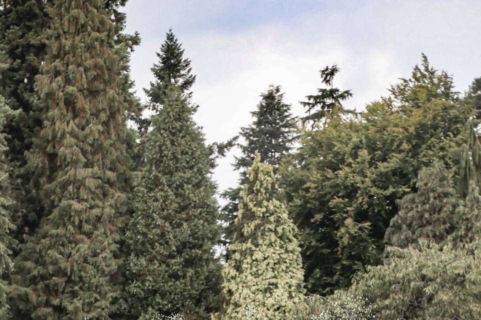 Arley Arboretum and Gardens