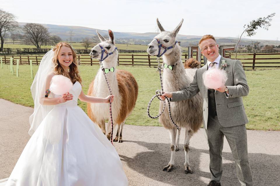 The Wellbeing Farm, Bolton