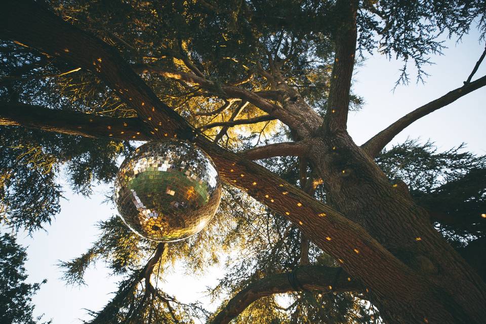 Discoballs in trees