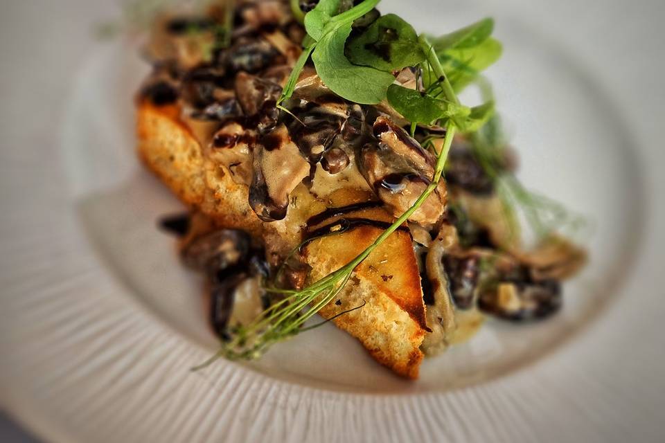 Mushroom starter