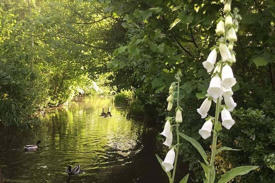 The River Colne