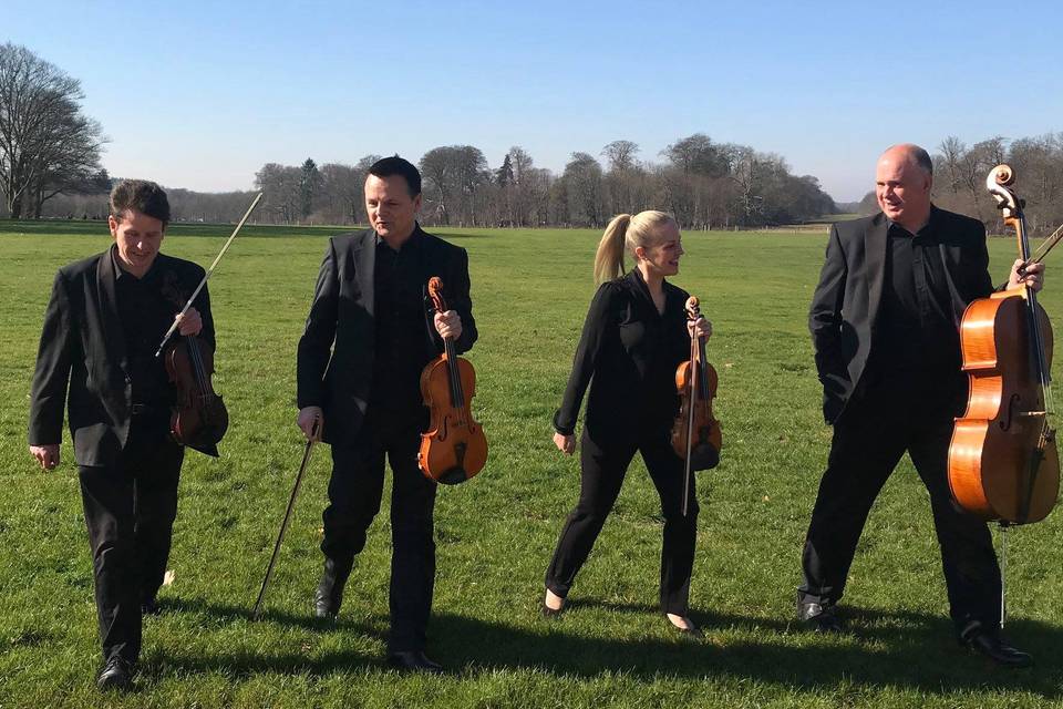 Hampshire String Quartet