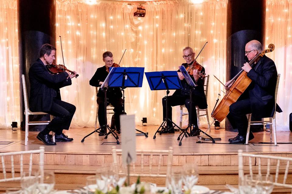 Hampshire String Quartet