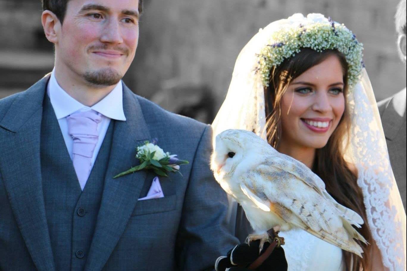 Barn Owl Ring Bearer in Cleveland, Durham - Updated prices | hitched.co.uk