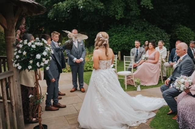 Barn owl ring bearer