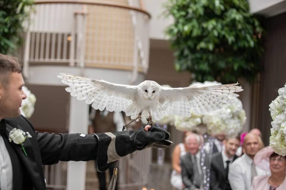 Barn Owl Ring Bearer