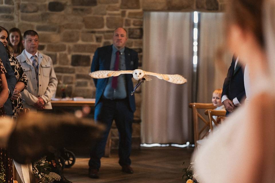 Barn Owl Ring Bearer