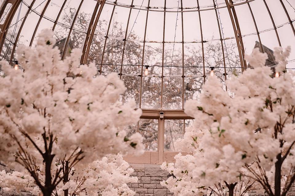 Blossom tree ceremony