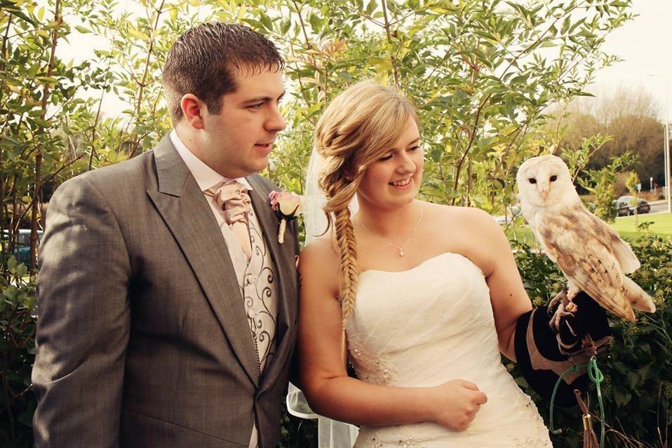 Something Different Owl Ring Bearer 2