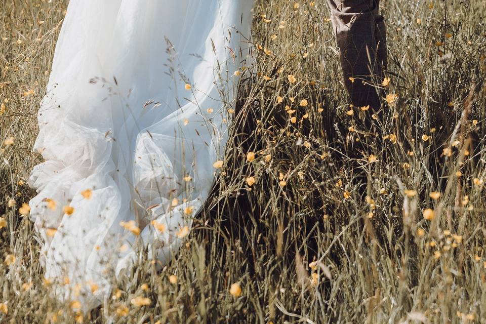 Walking in Lush Fields