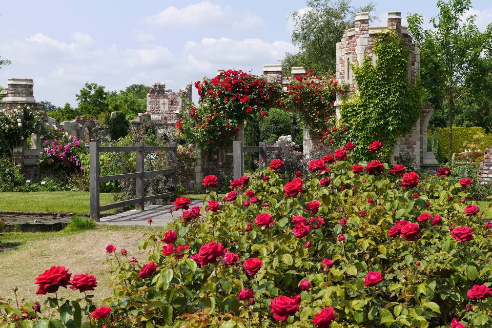 Old Manor House Garden