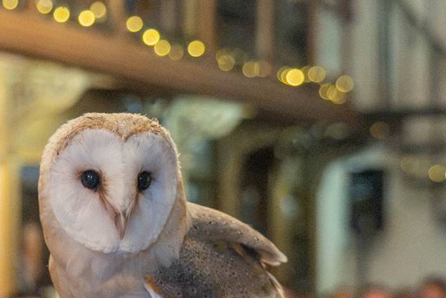 Harry Potter Themed Wedding.
