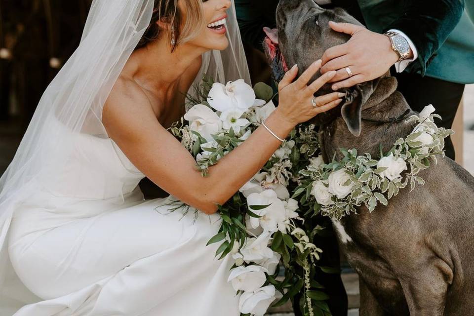 Mr & Mrs with their dog